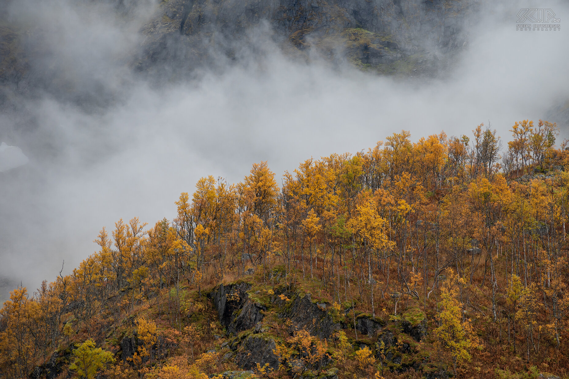 Senja - Bergsbotn - Herfst  Stefan Cruysberghs